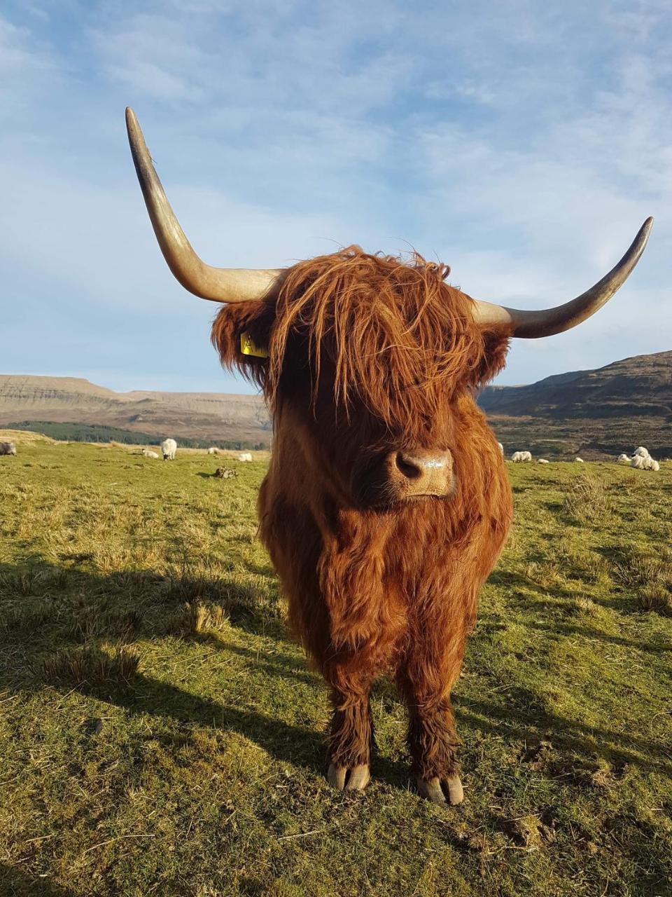 بورتري Trotternish B&B المظهر الخارجي الصورة